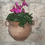 فندق San Giacomo أسيسي