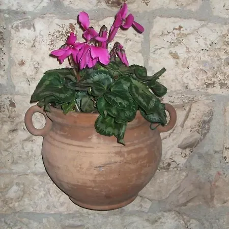 Hotel San Giacomo Assisi