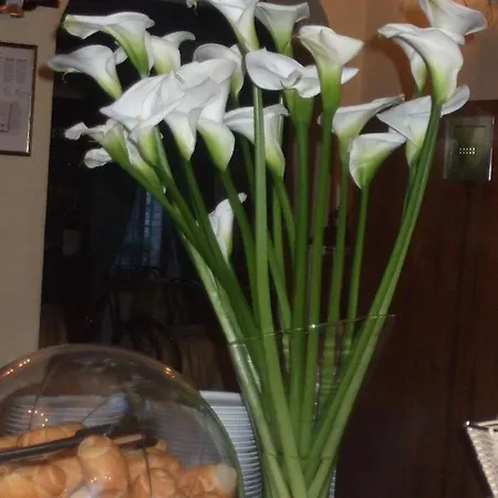 Hotel San Giacomo Assisi