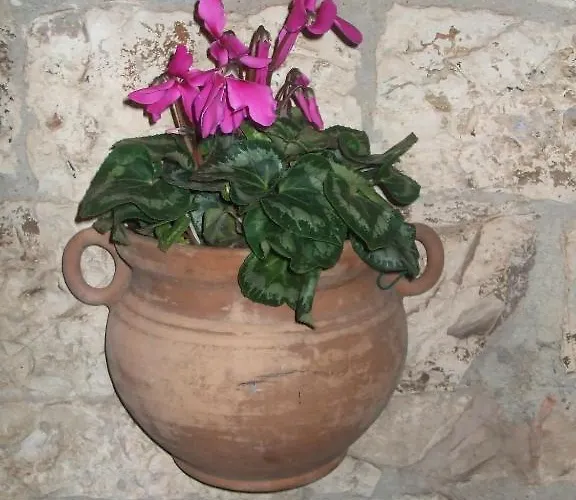 Hotel San Giacomo Assisi