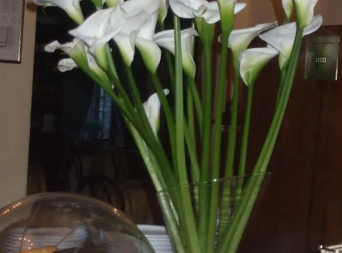 Hotel San Giacomo Assisi